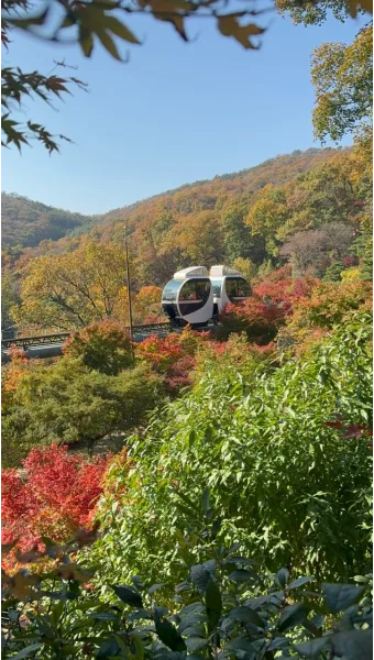 화담숲 예약하기 예약 방법 입장료 모노레일_6