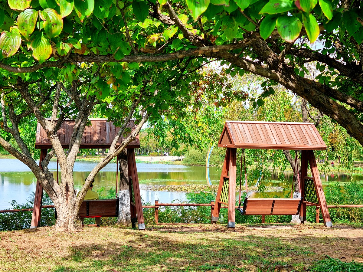 서울 근교 가을꽃 만발한&amp;#44; 경기도 고양시 강매석교공원 창릉천 코스모스축제