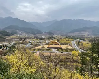 구례 산수유축제_12