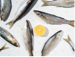 고지혈증에 좋은 음식