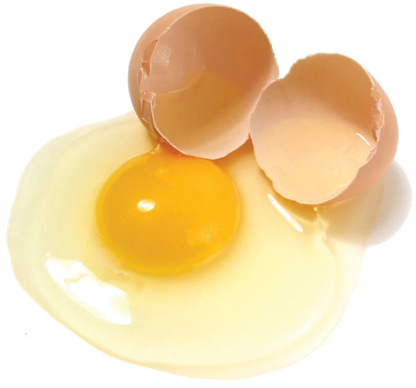 달걀
