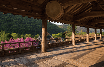 국가유산 방문자 여권 신청방법 [할인 혜택]