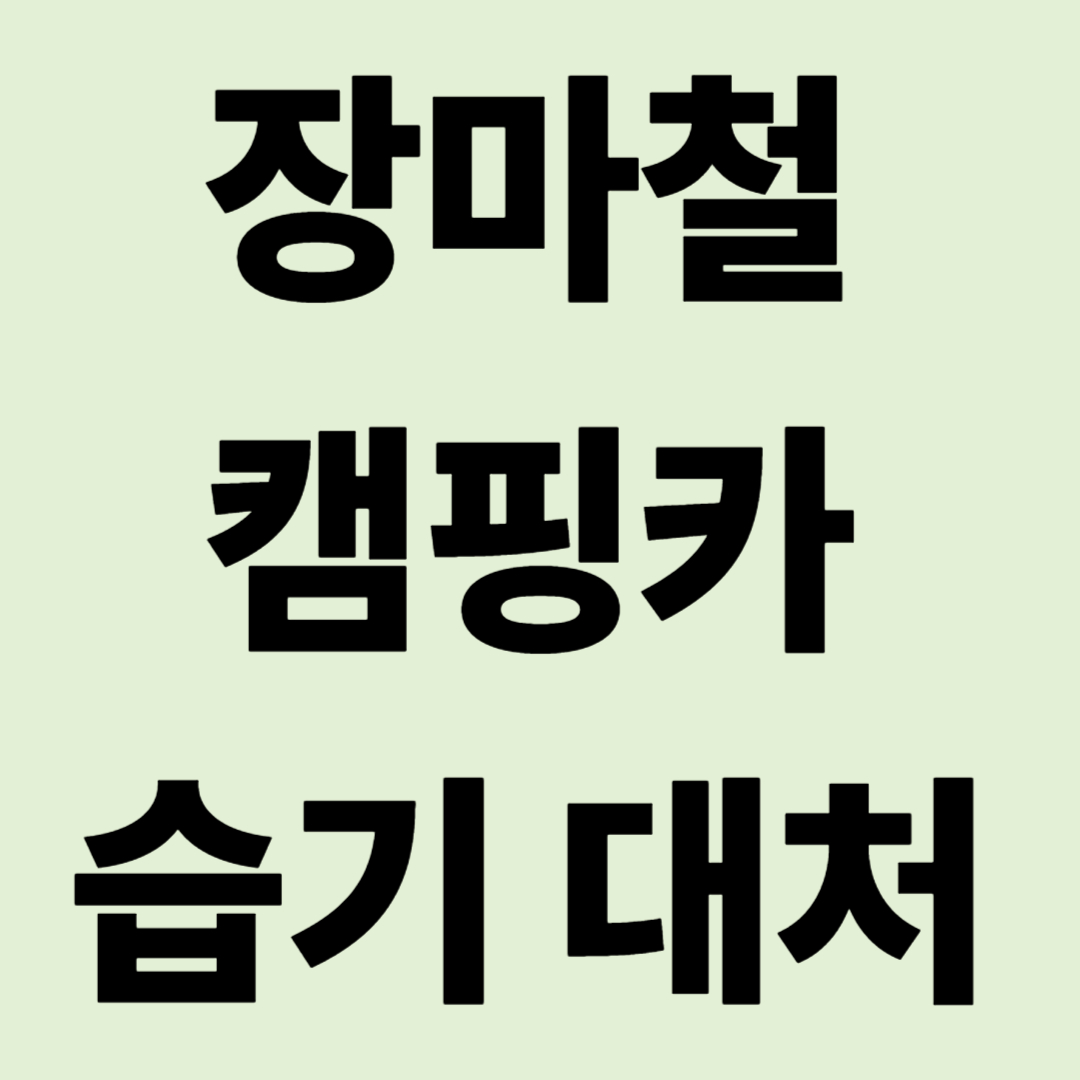 "눅눅한 침상은 이제 안녕" 장마철 캠핑카 습기 사수 궐기대회