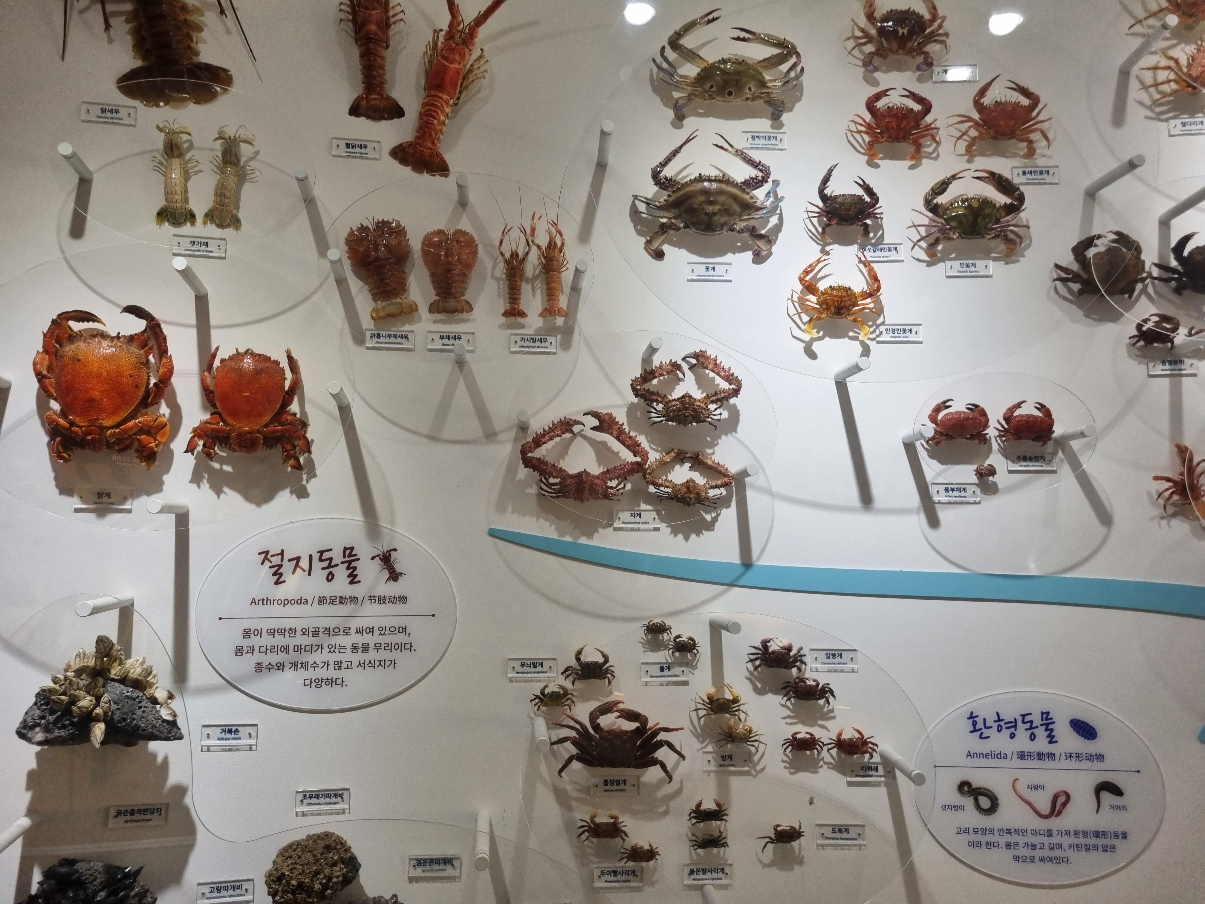 민속자연사박물관