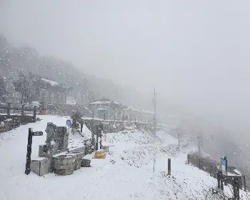 태백산 국립공원 실시간 cctv_29