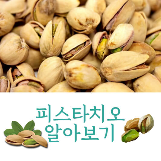 피스타치오
