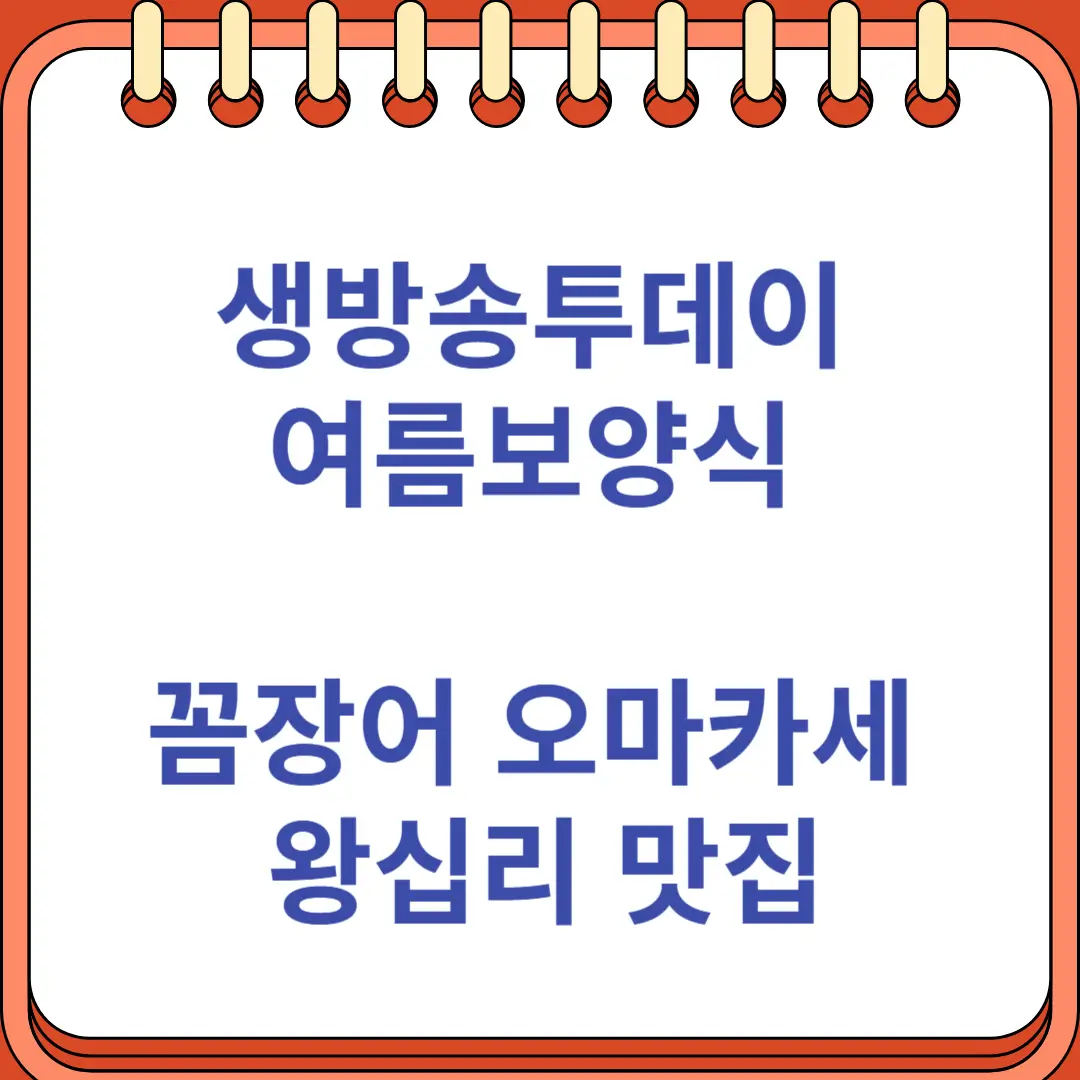 생방송투데이 여름보양식 왕십리 꼼장어 오마카세 맛집
