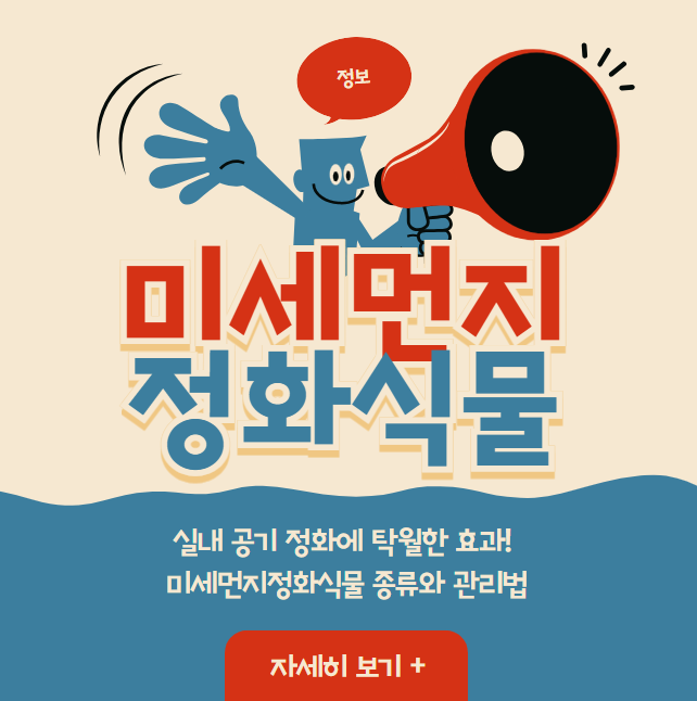 실내 공기 정화에 탁월한 효과! 미세먼지정화식물 종류와 관리법