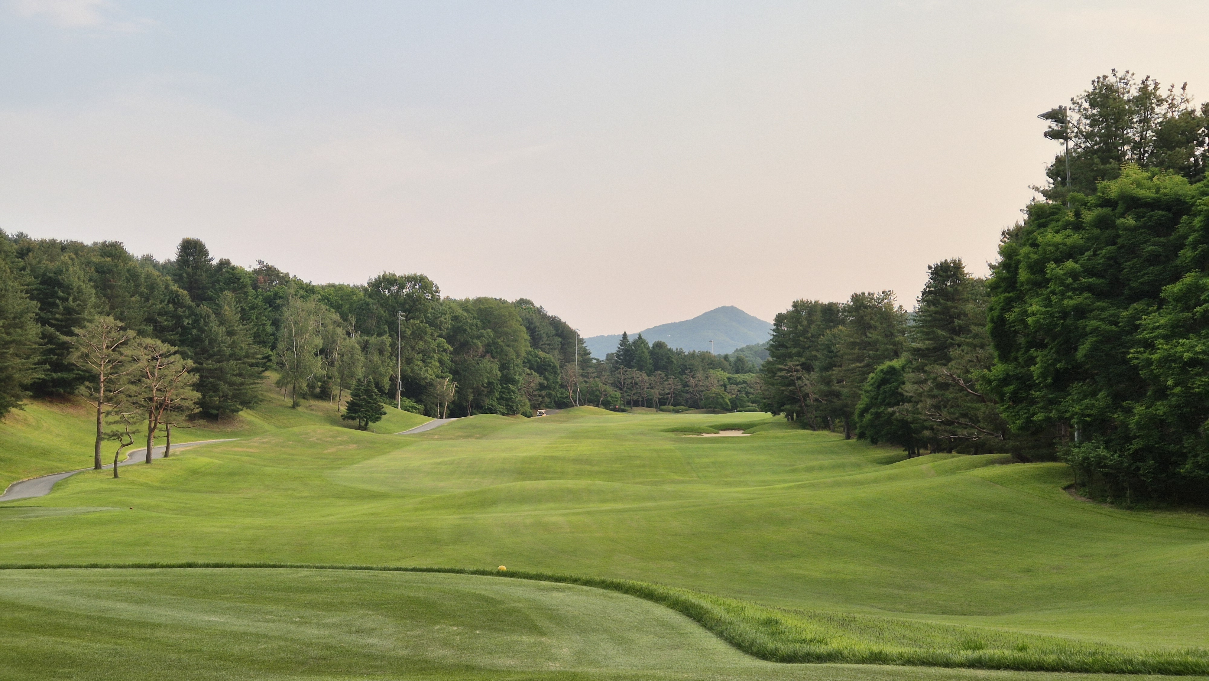 이포cc 라운드 후기