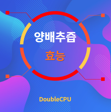 양배추즙 효능 탐구