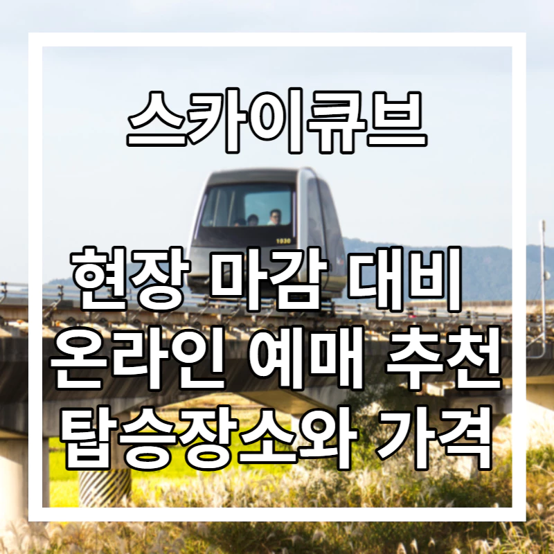 갈대밭 위의 레일에 스카이 뷰르가 있다.