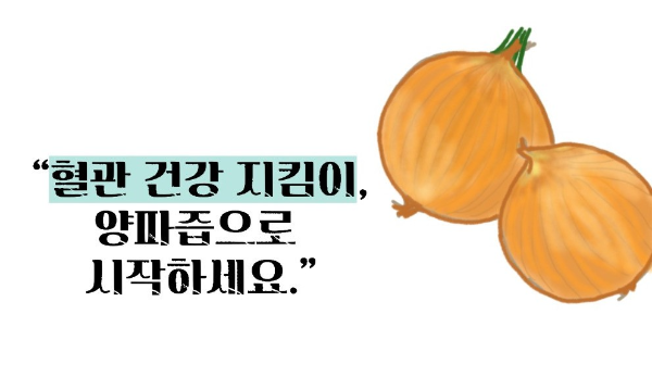 양파즙 효능 고혈압