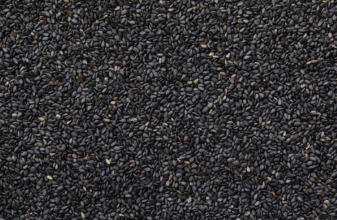 탈모에 좋은 블랙 푸드