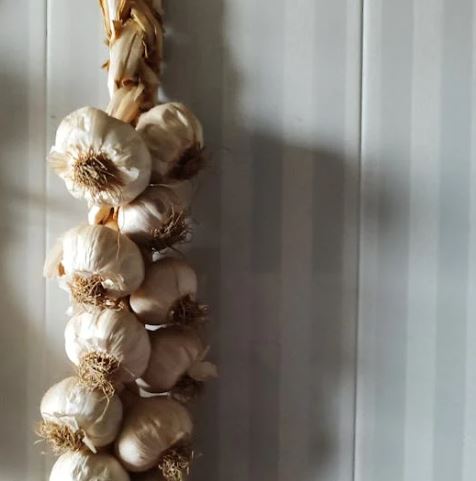 혈액순환에 좋은 음식