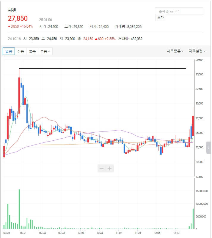 씨젠 일봉 차트