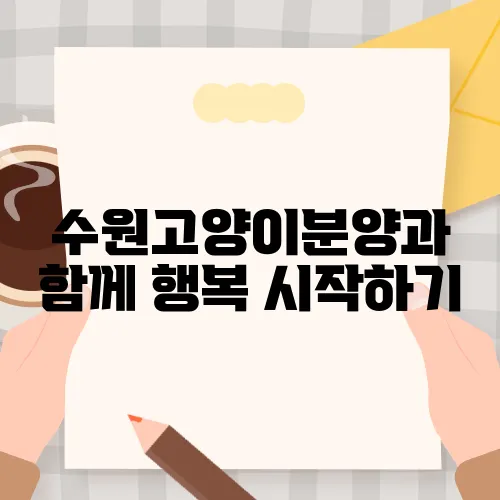 수원고양이분양과 함께 행복 시작하기