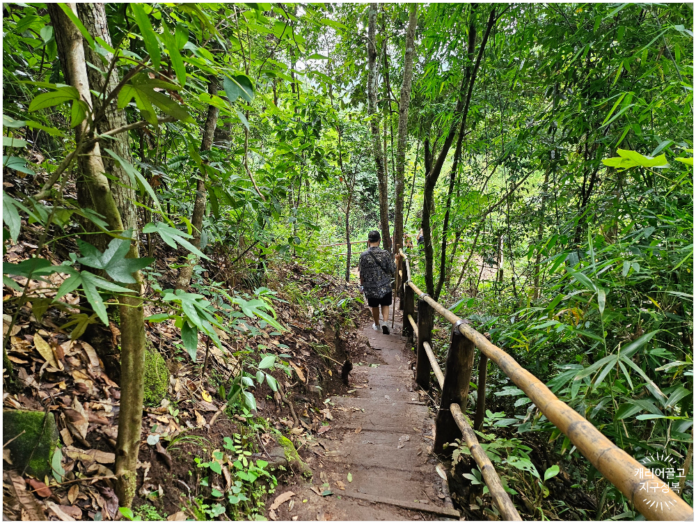 치앙마이 도이 인타논 국립공원