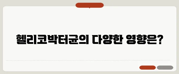 헬리코박터균 증상과 치료 방법 총정리!