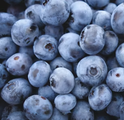 비타민C 많은 음식 (식품 과일 채소)