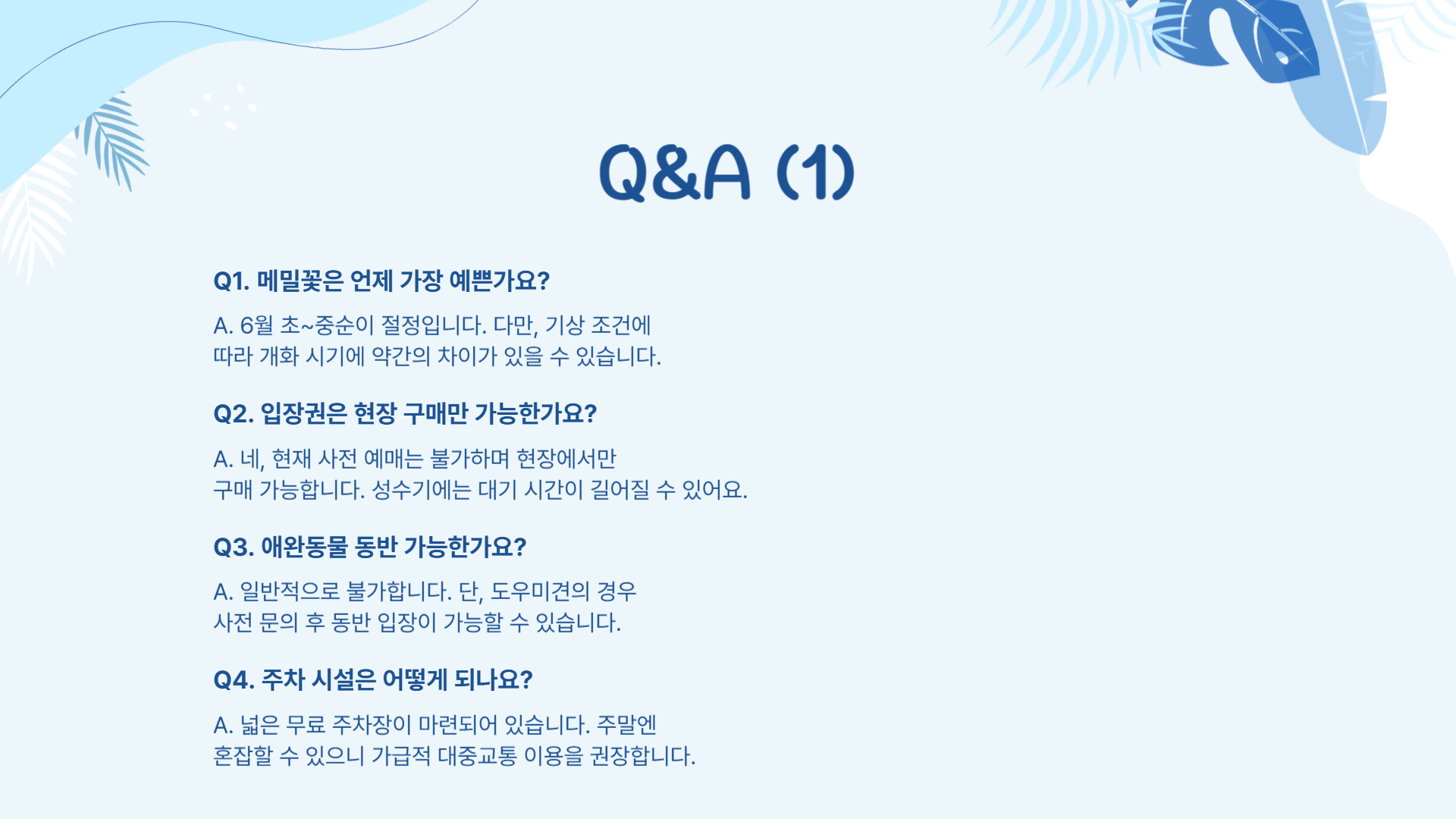 제주 보롬왓 메밀축제