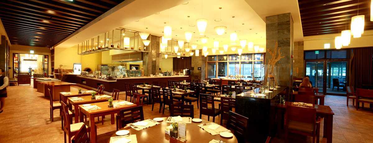 2025/2026 알펜시아 리조트 스키장 시즌권 완벽 가이드