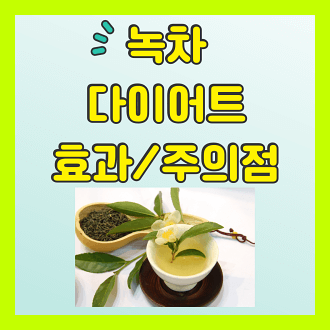 녹차 다이어트의 효과와 주의점