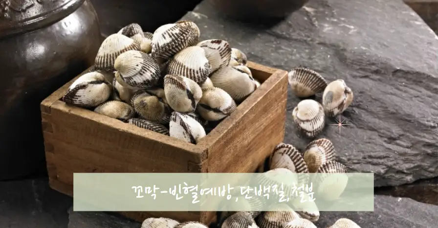 꼬막 빈혈예방 단백질 철분