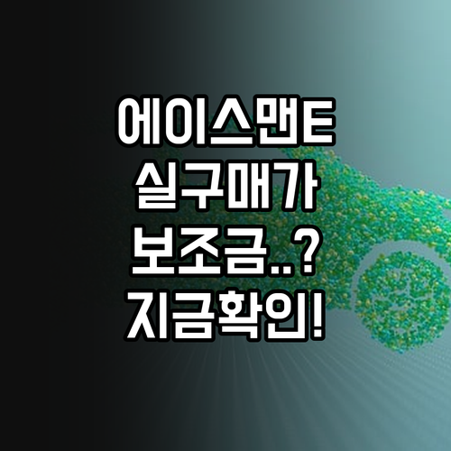 미니 에이스맨 E 실제 구매 가격 및..
