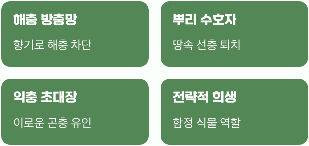 그래서, 꽃이 최고의 살충제인 이유