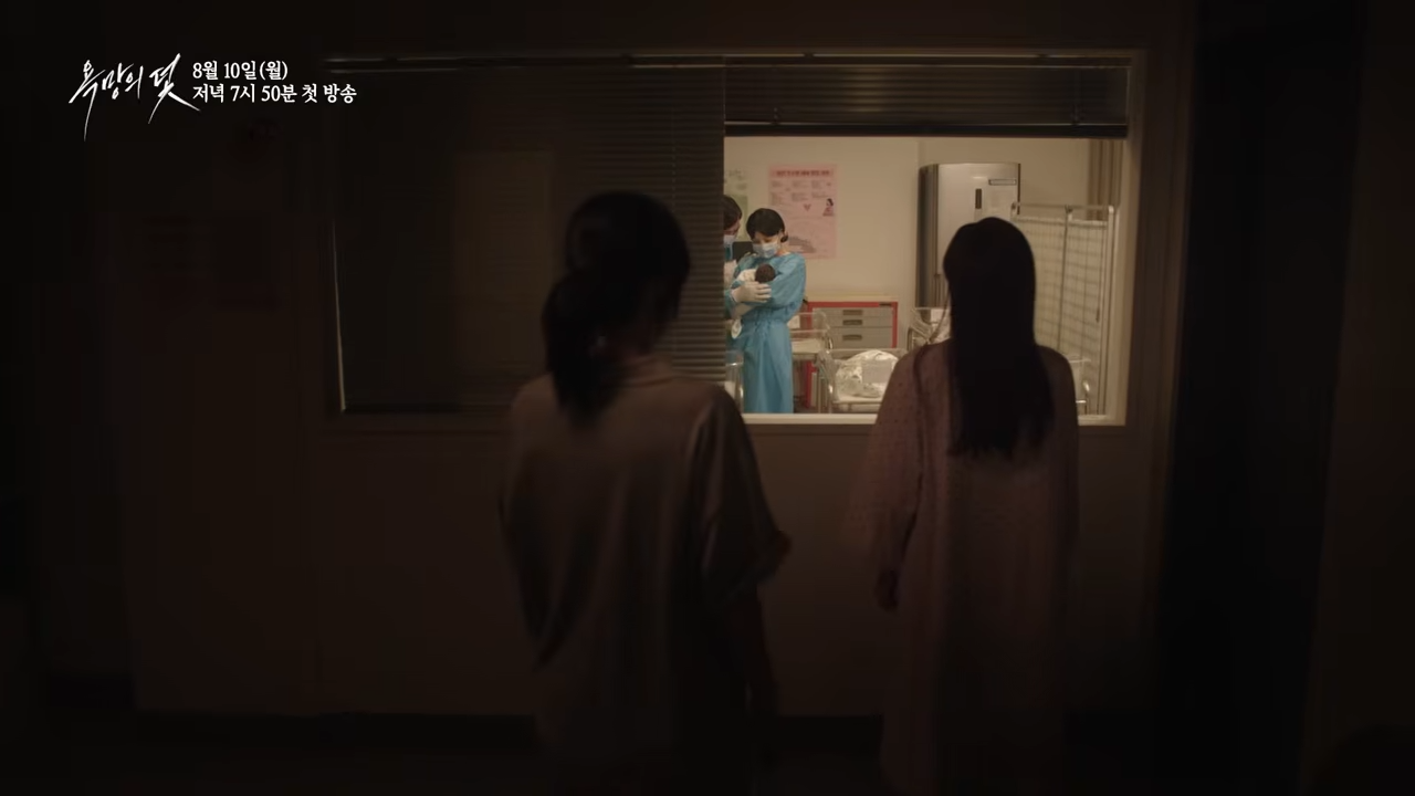 2026년 욕망의 덫 관련 이미지