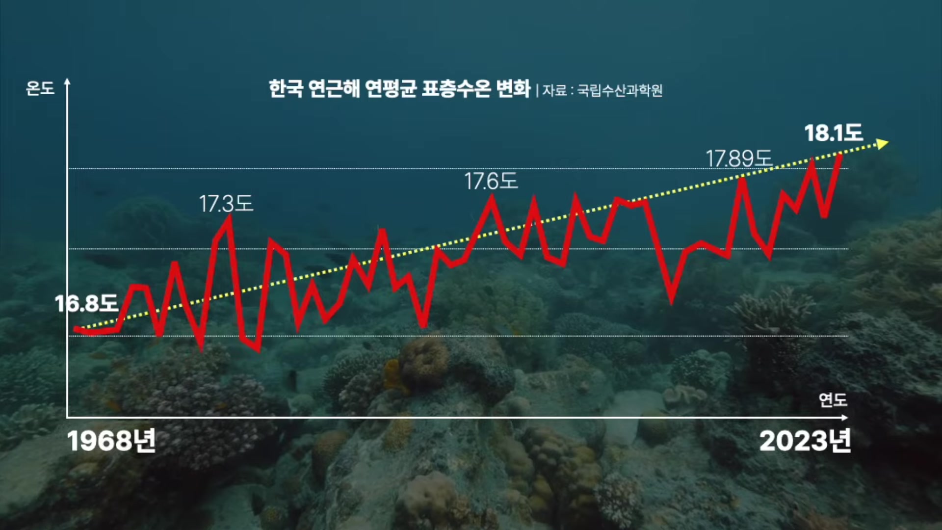 한국 연근해 연평균 표층수온 변화