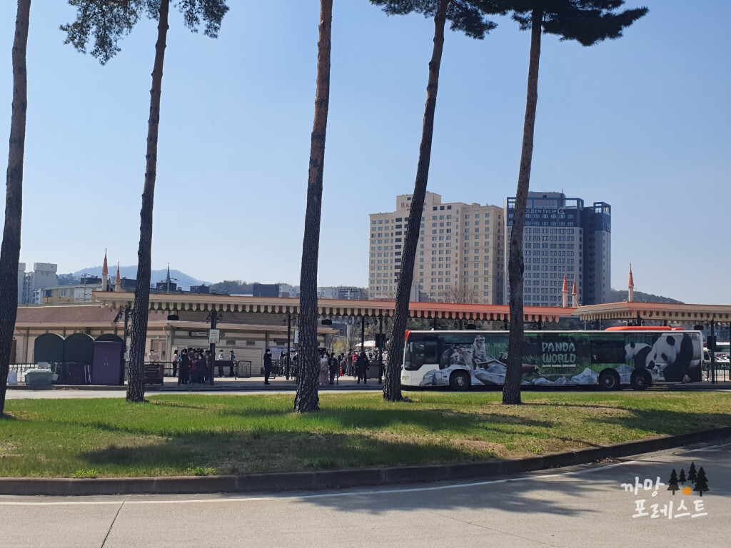 에버랜드 셔틀버스