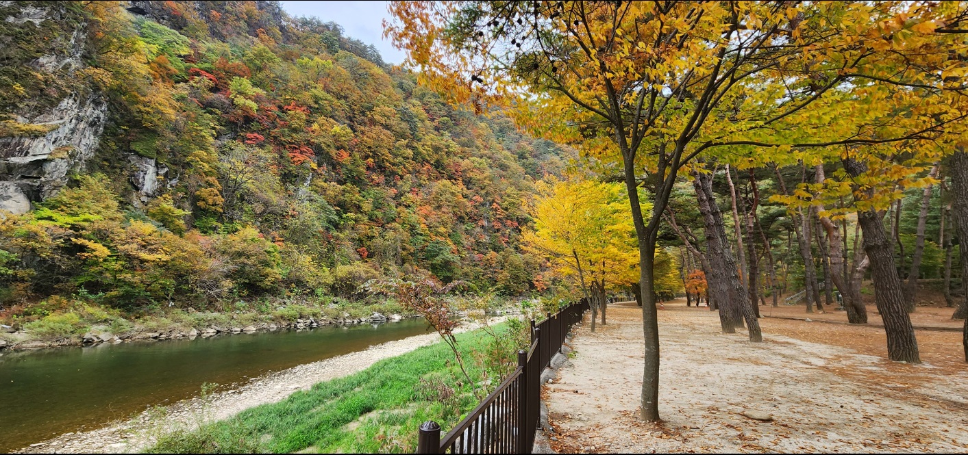 영월군 리버힐즈 캠핑장 얘약 바로가기