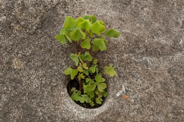 어쨌든 어쨋든 맞춤법 표현 예시 맞는 표현_5