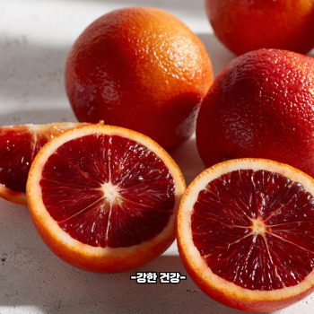 모로실 효능