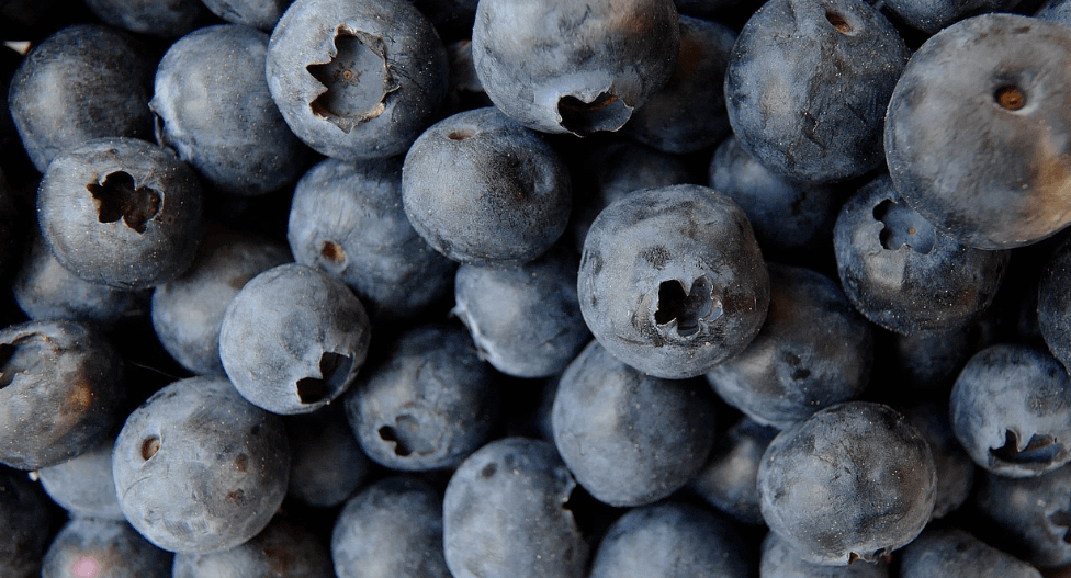 눈에 좋은 음식 사진 - 7