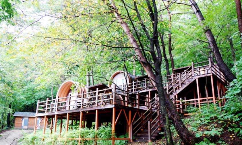 김천 치유의 숲