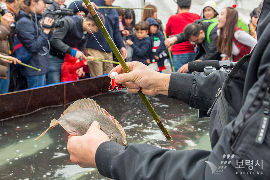 보령시- 무창포 도다리 축제2