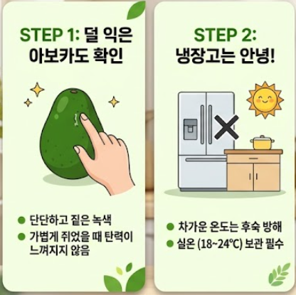 아보카도 보관법
