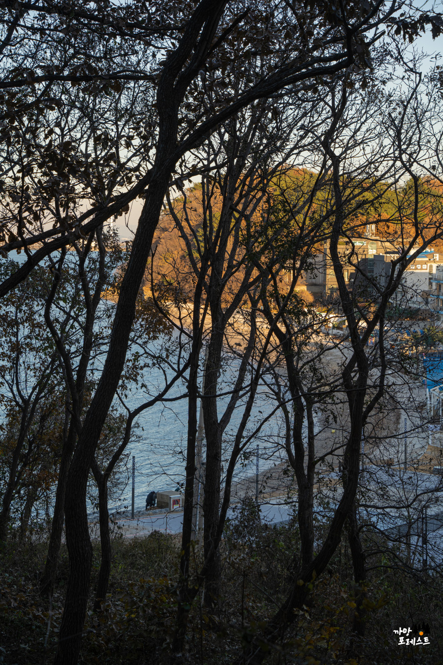 안산 구봉도 대부해솔길
