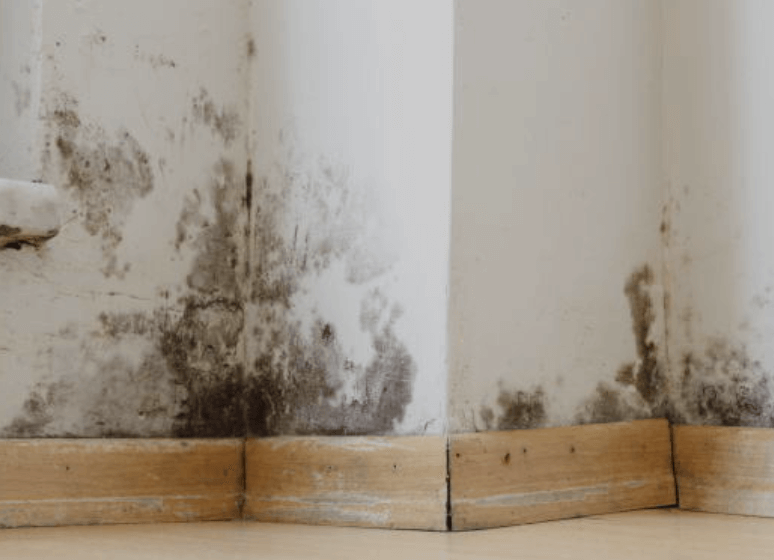 실내 적정 온도