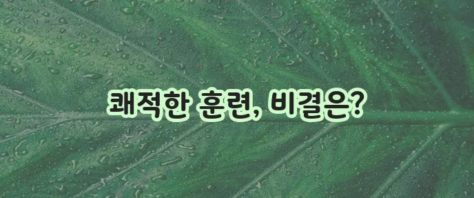 강아지 배변 패드 훈련과 위생을 위한 최고의 선택이죠!