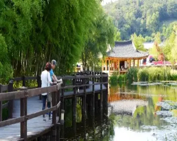 담양 대나무축제_15