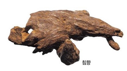 광동침향환-침향