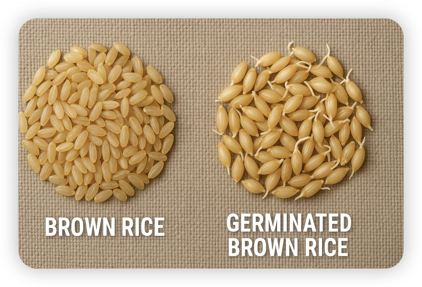현미-발아현미-썸네일