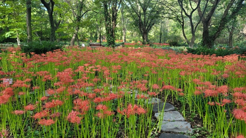 기청산식물원 (경북 포항)