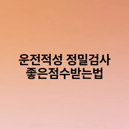 운전적성 정밀검사 좋은점수받는법