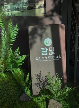 생생정보 믿고 떠나는 스타의 고장 가수 박남정 경남 한안 한식 맛집 탐밀