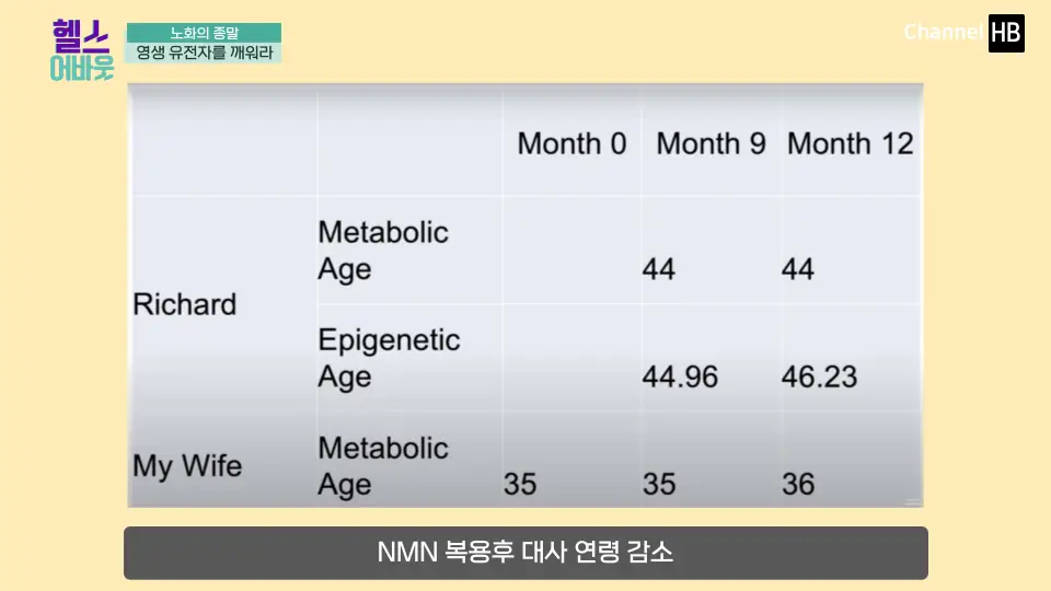 일본NMN36000