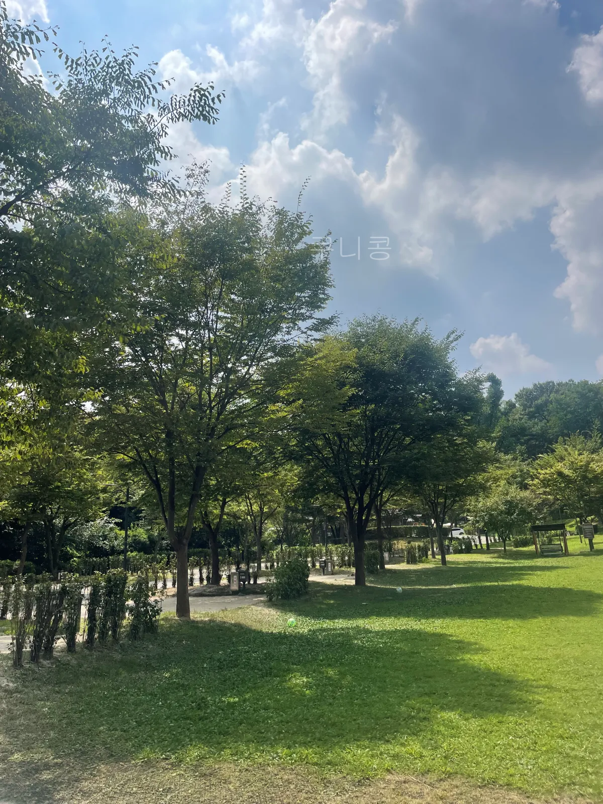 서울-가족캠핑-피크닉-추천-초안산캠핑장-자리,예약-꿀팁